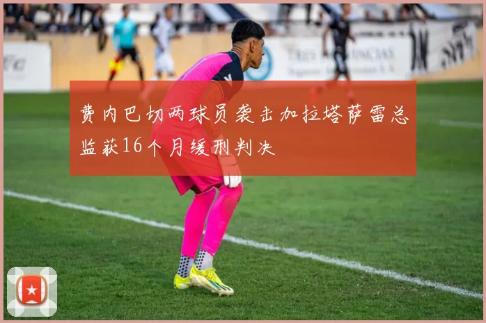 费内巴切两球员袭击加拉塔萨雷总监获16个月缓刑判决