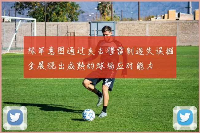 绿军意图通过夹击穆雷制造失误掘金展现出成熟的球场应对能力