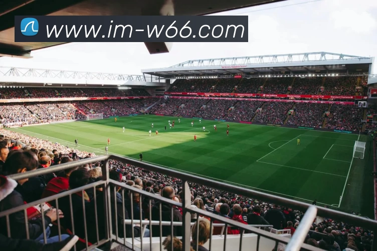 利来国际平台生态图